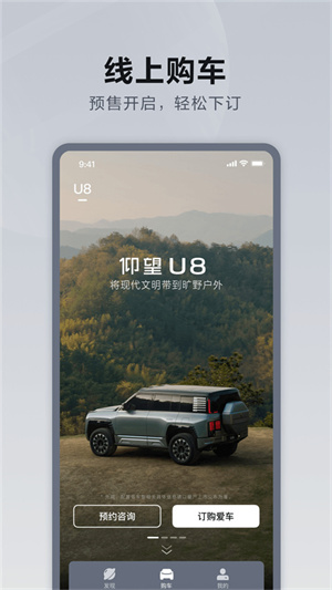 仰望汽车图2
