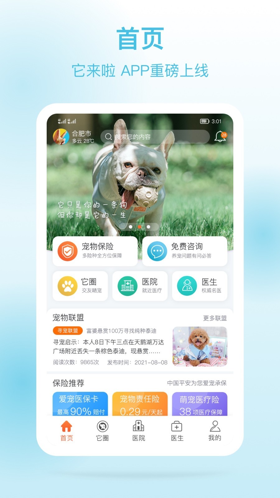 它来啦图1