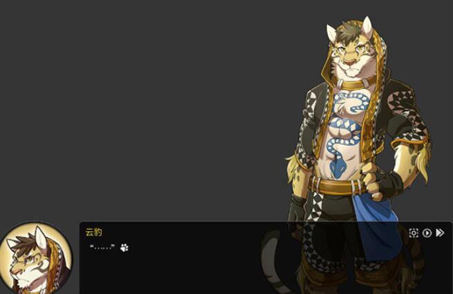 家有大猫图3