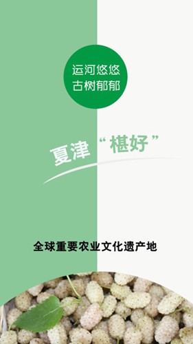 爱夏津图5