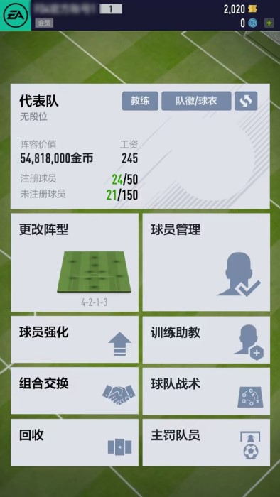 fifa足球世界先锋服图1