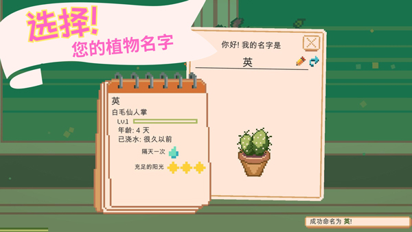 窗边花园游戏图1