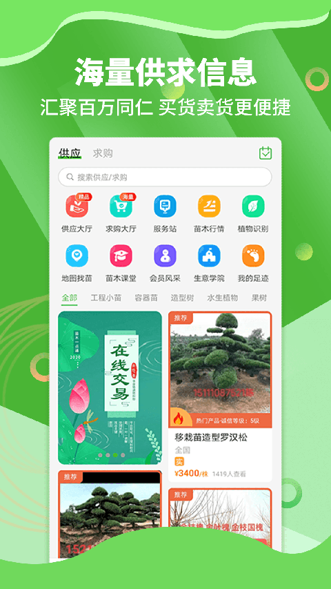 苗木通图1