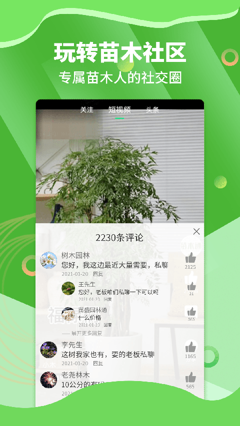 苗木通图3