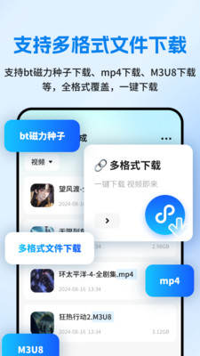 网页资源捕捉器图1