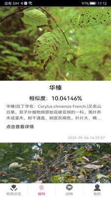 拍照识花神器图2