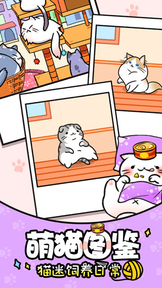 猫咪公寓图5