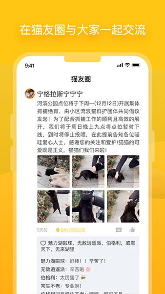 哈啰街猫图1