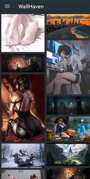 WallHaven壁纸图2