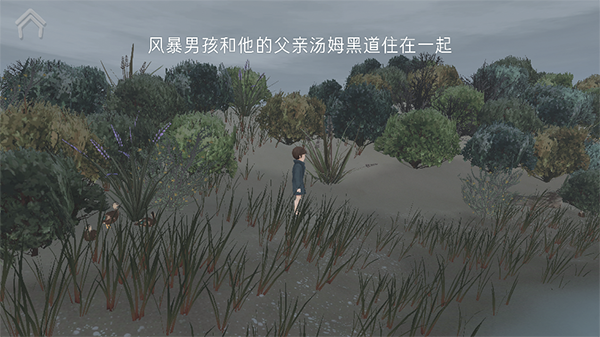 男孩与鹈鹕图2