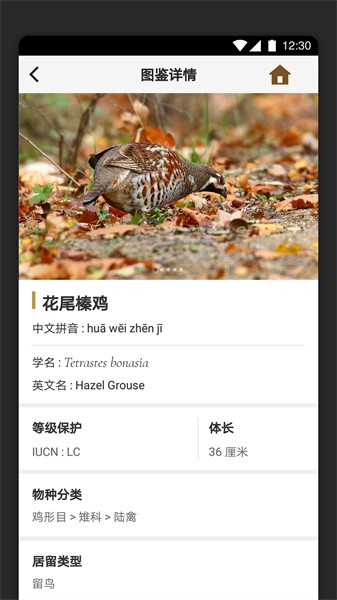 识鸟家图2