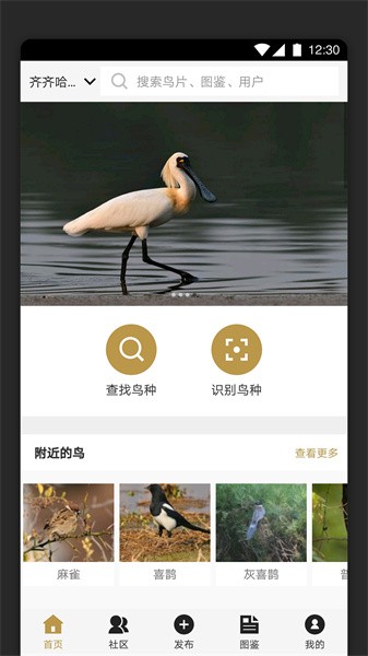 识鸟家图1