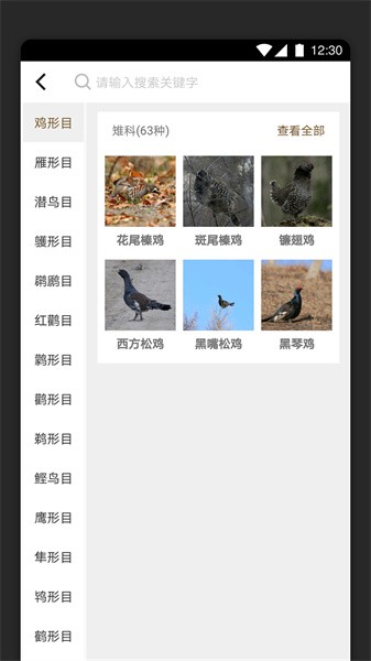 识鸟家图3