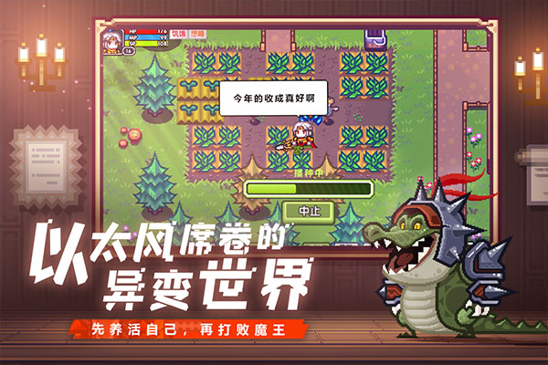伊洛纳国际服图5