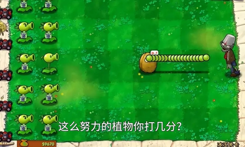 植物大战僵尸资本家版图2