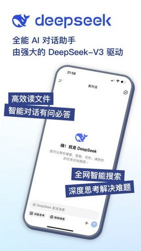 deepseek图3
