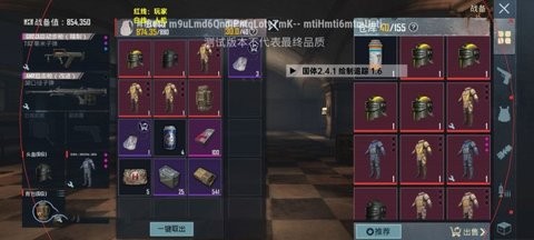 小威国体ESP框架图2