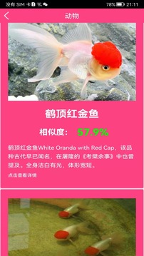 拍照识花神器图2