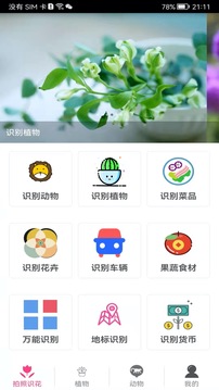 拍照识花神器图4