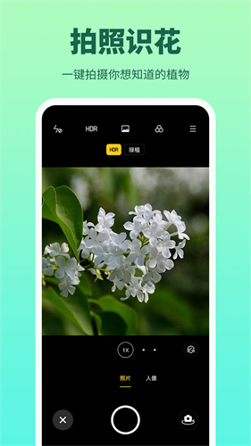 花多多图1