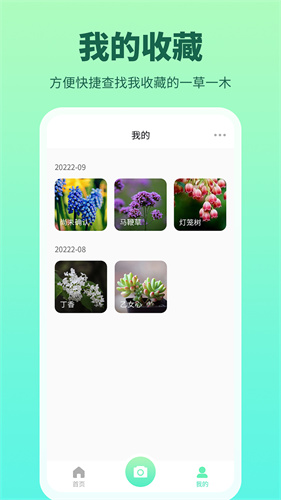 花多多图2