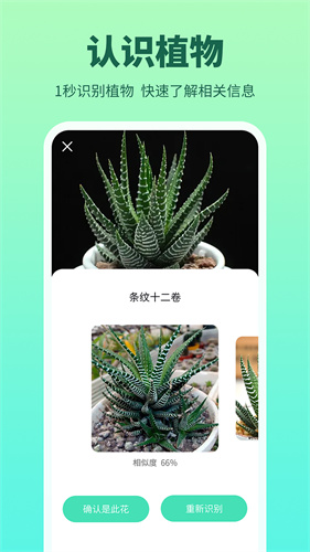 花多多图3