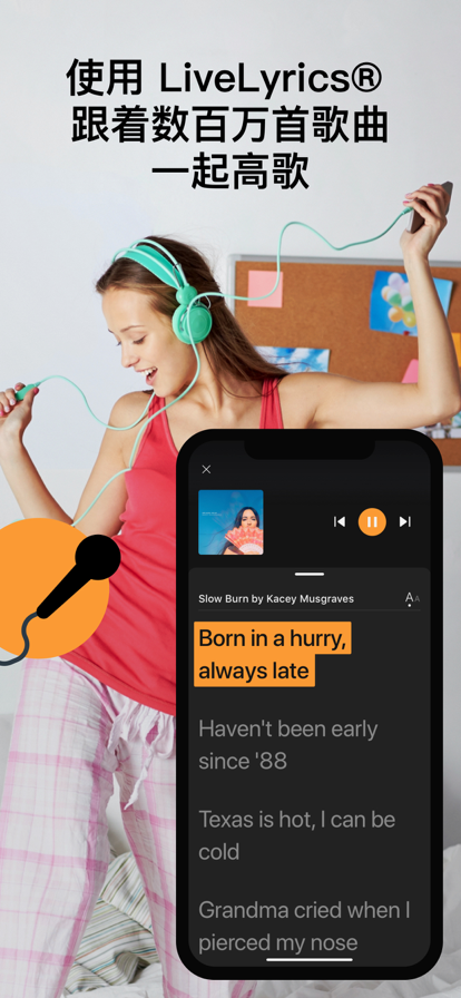 SoundHound图3