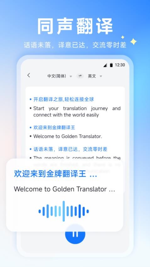 金牌翻译王图4