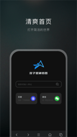 双子星浏览器图1