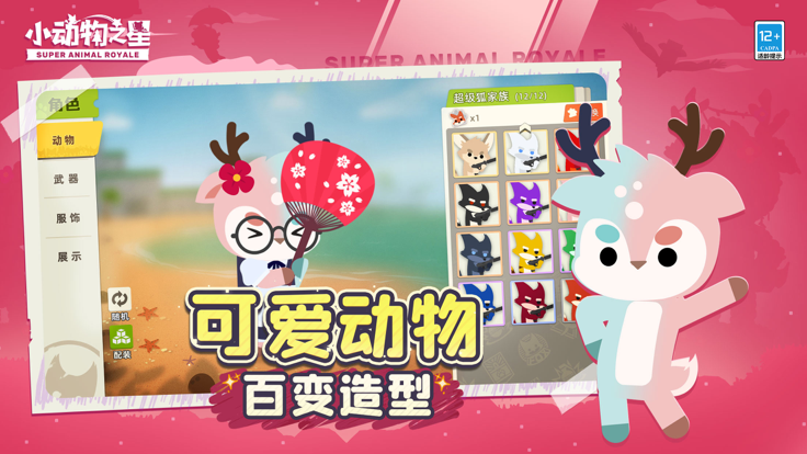 小动物之星官方图2