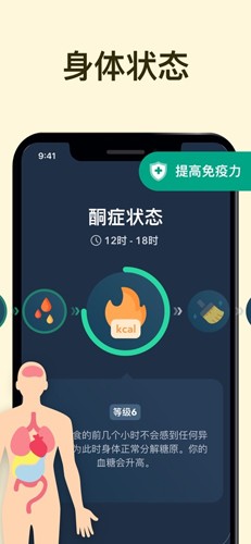 168轻断食图4
