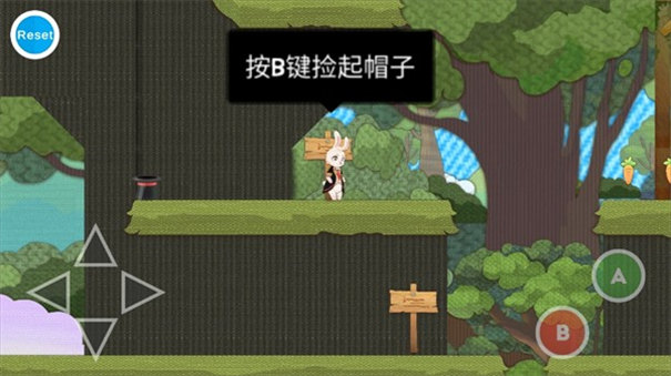 追逐繁星的兔子图2