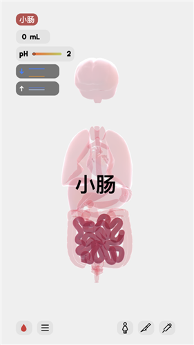 生命LIFE图1