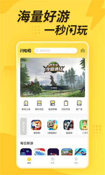 闪电龟图1
