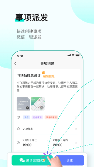 飞项图4