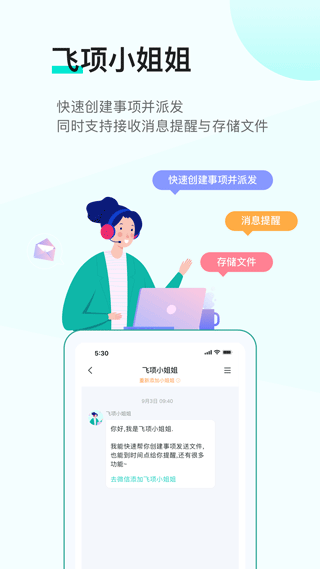 飞项图5